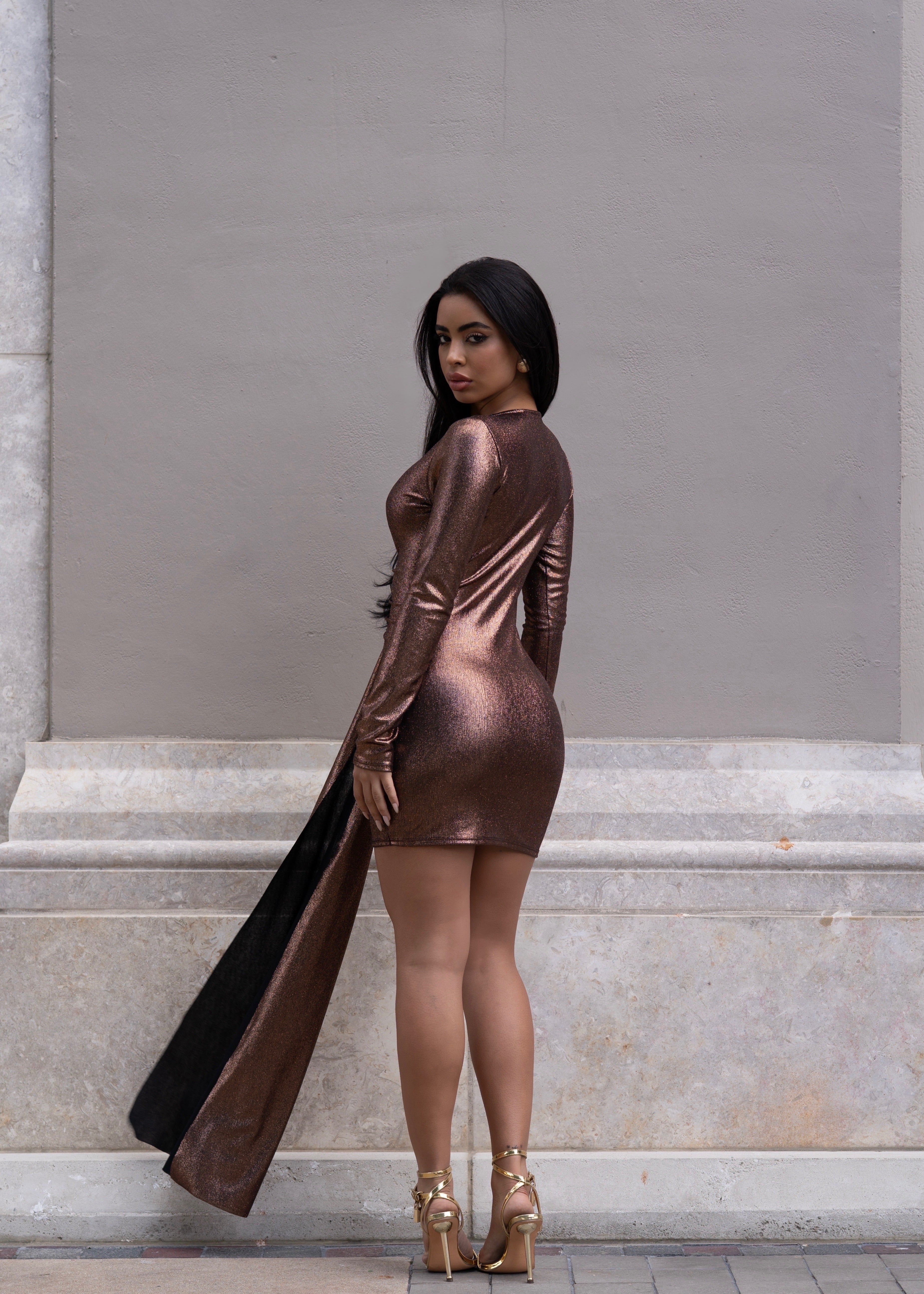 Luminous Verge Glitter Mini Dress Brown