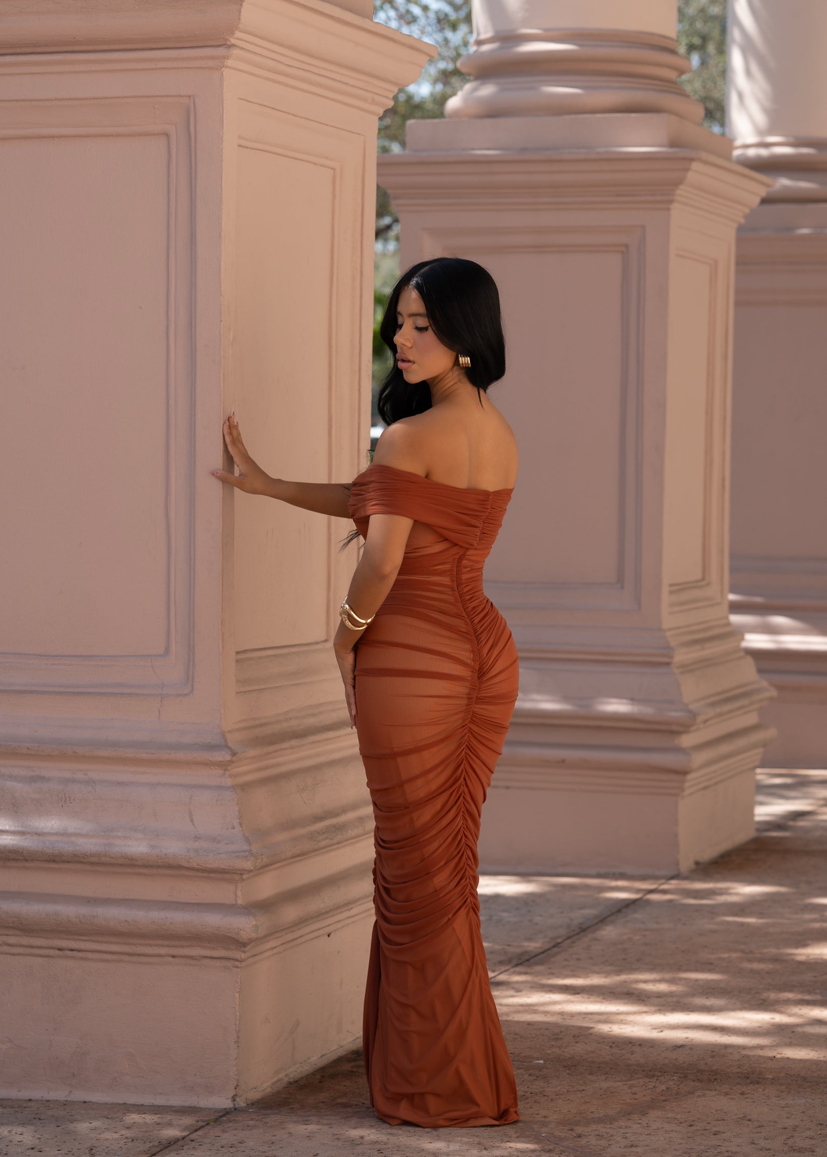 Luxe Goddess Ruched Mesh Maxi Dress Brown