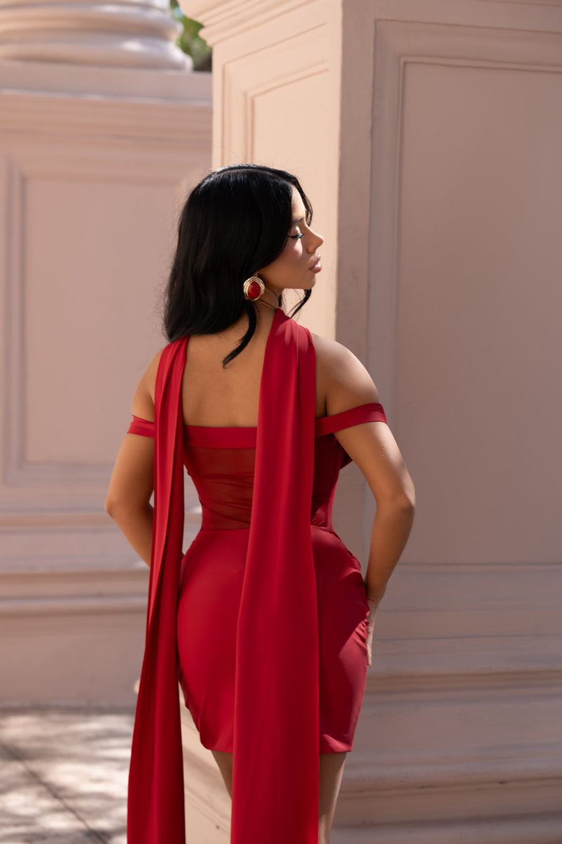 Rouge Devotion Ruched Mesh Mini Dress Red