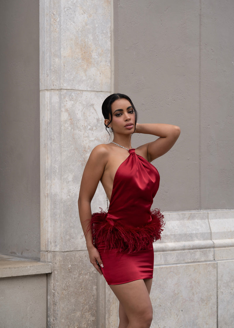 Moonlit Reverie Satin Rhinestone Mini Dress Red