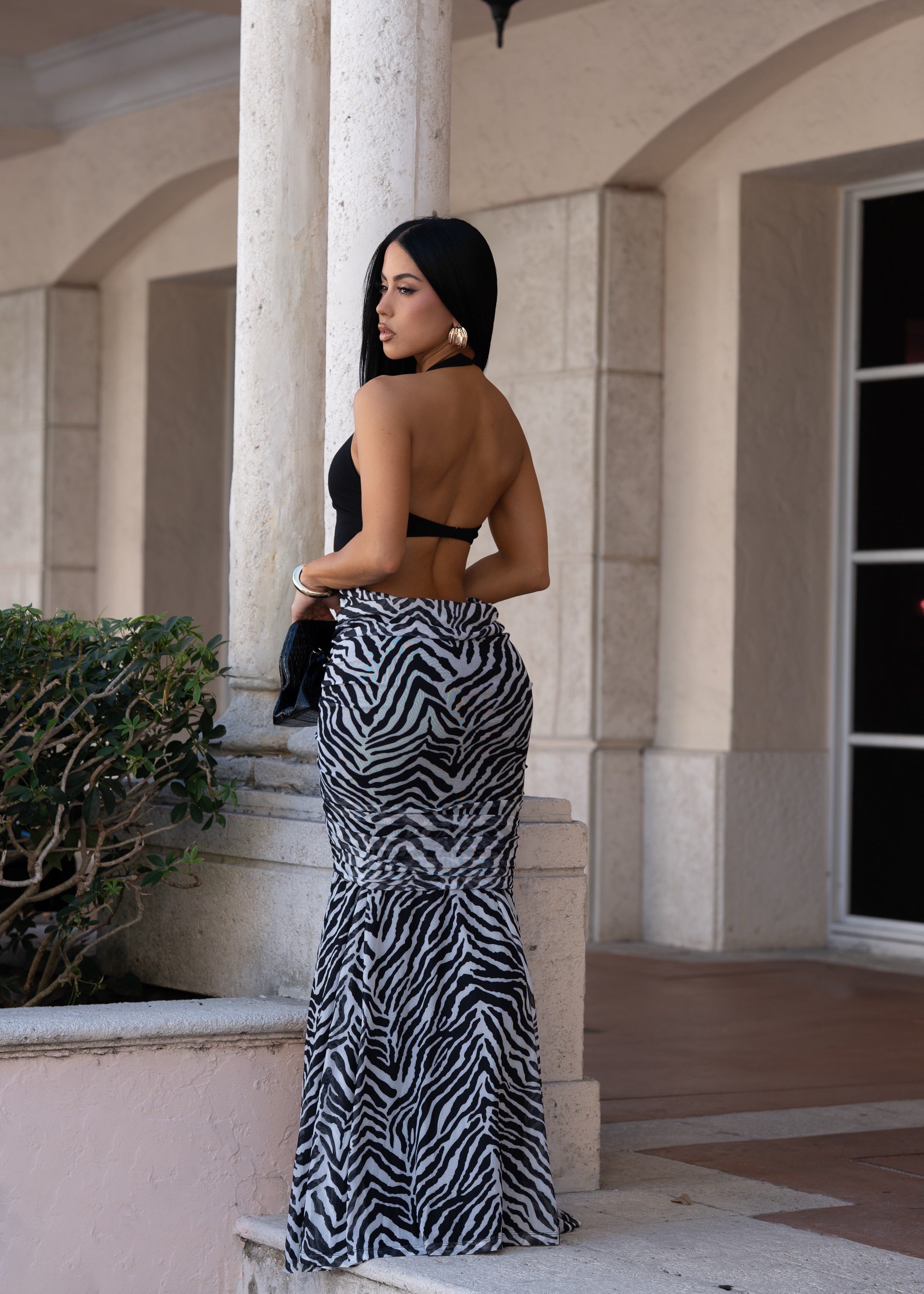 Clean Dominance Zebra Ruched Maxi Dress Black