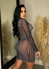 Pride And Prejudice Mesh Mini Dress