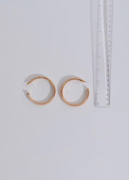 I've Got Plans Earring