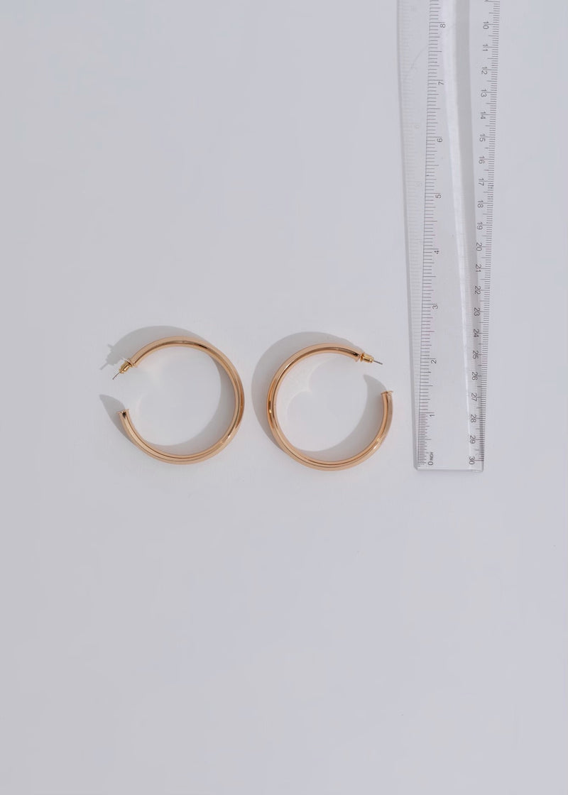 I've Got Plans Earring